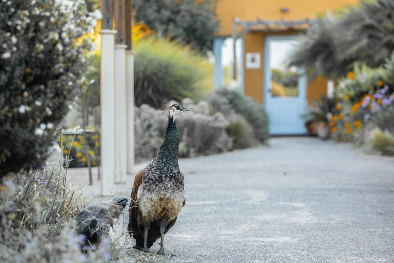 Aquae Sinis Albergo Diffuso Càbras Exterior foto